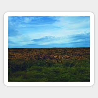 Heather & Gorse Sticker